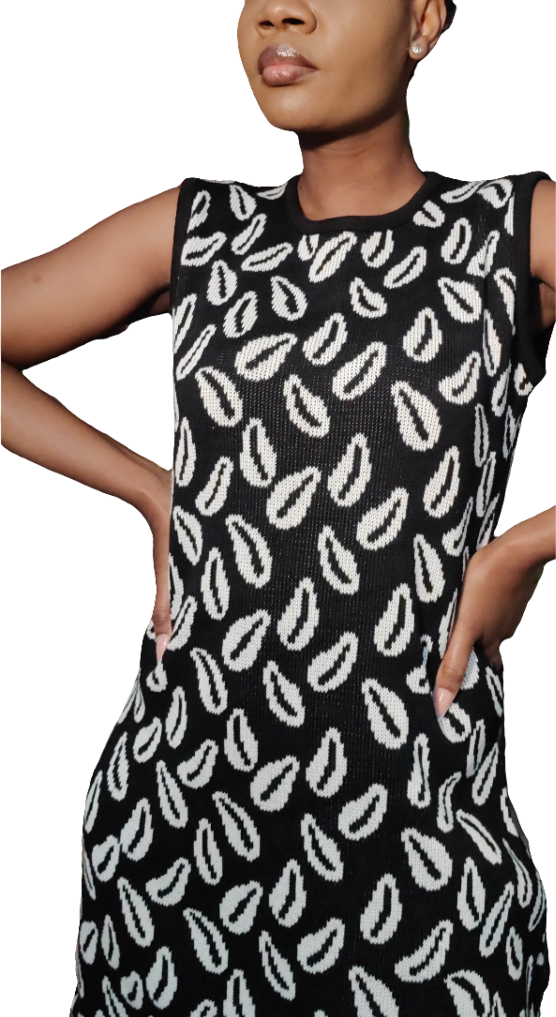 Cedi Day Dress (B&W)